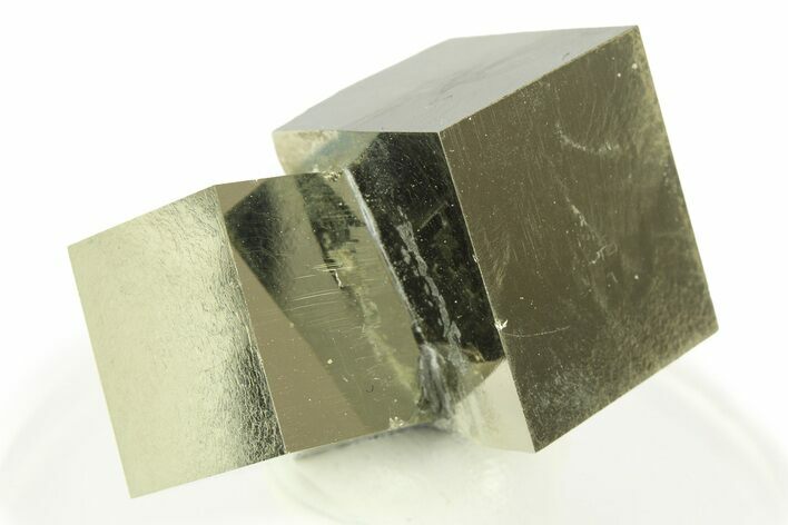 Shiny, Natural Pyrite Cube Cluster - Navajun, Spain #307069